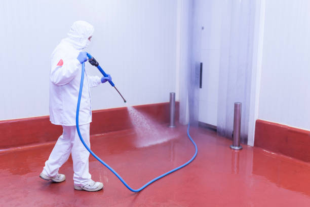 Best Dumpster Area Cleaning  in Glen Head, NY
